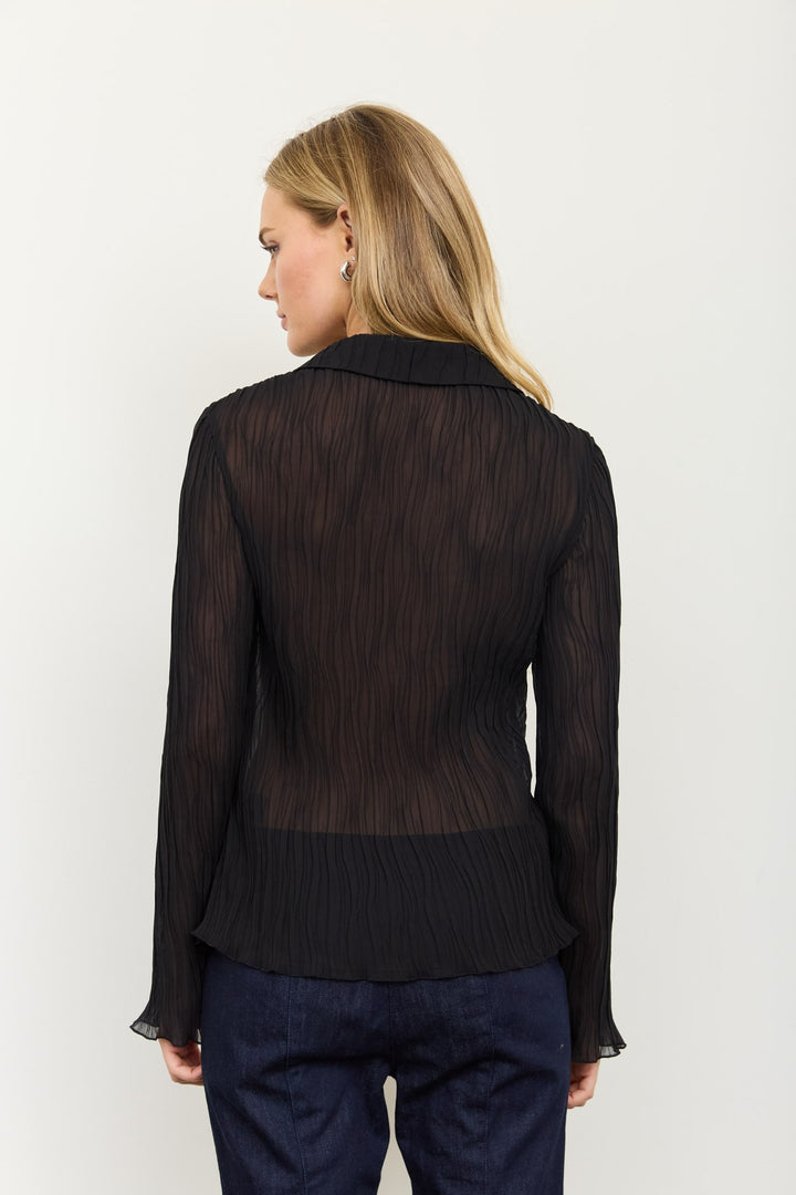 Sheer Collard Button Down